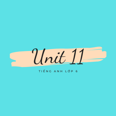 unit-11-11